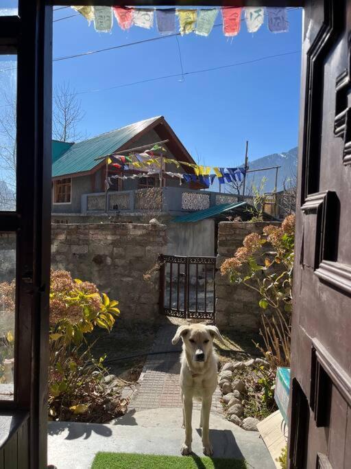 Gharsa - Your Mountain Home Manāli Exterior foto